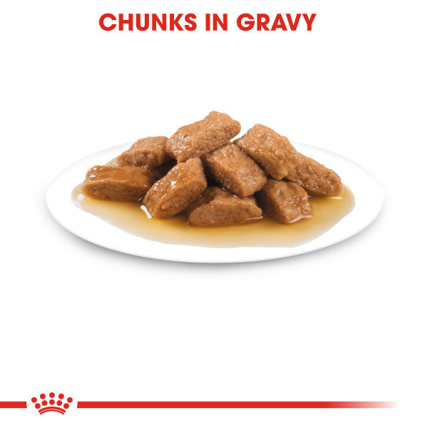 Royal Canin Medium Adult in Gravy Wet Dog Food