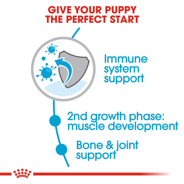 Royal Canin Giant Junior Dry Puppy Food