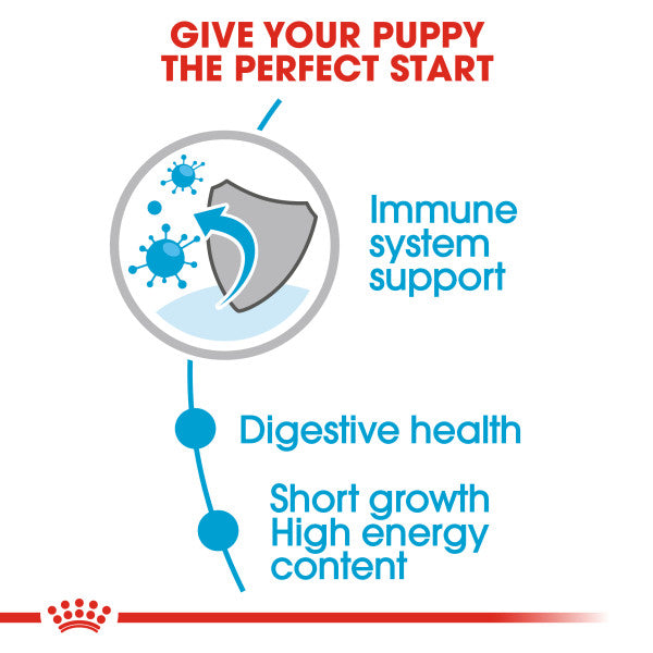 Royal Canin Medium Puppy in Gravy Wet Food