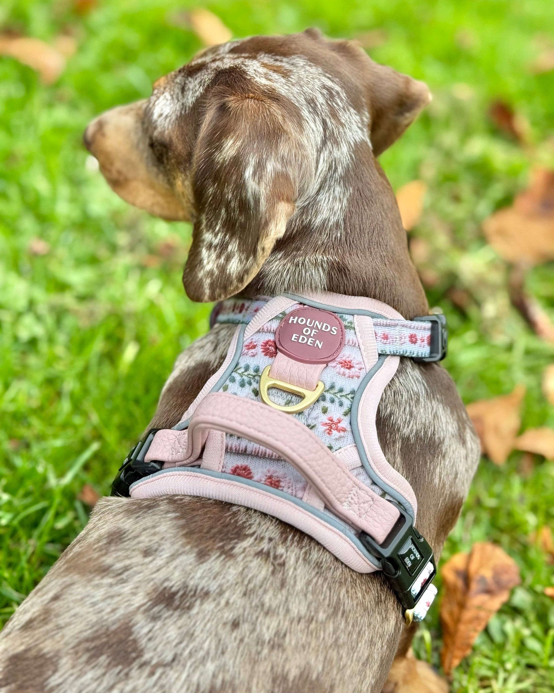 Bella's Jumper Supaw Strong Lite™ Dog Harness (XS-XL): Medium