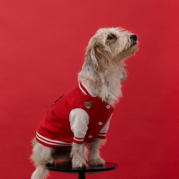 MOOKIE JACKET: M