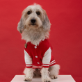 Load image into Gallery viewer, MOOKIE JACKET: XS
