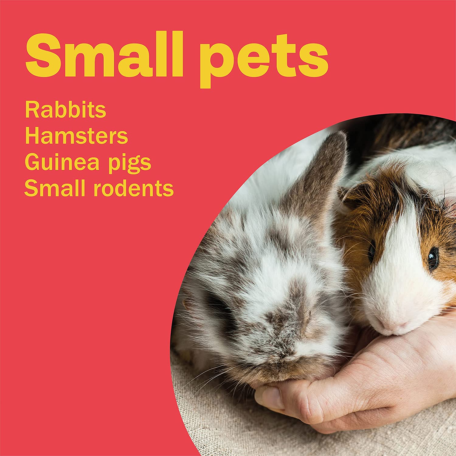Bob Martin Spot On For Small Animals