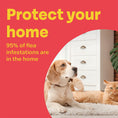 Load image into Gallery viewer, Bob Martin Flea Bomb Powerful Home Flea & Insect Room Treatment
