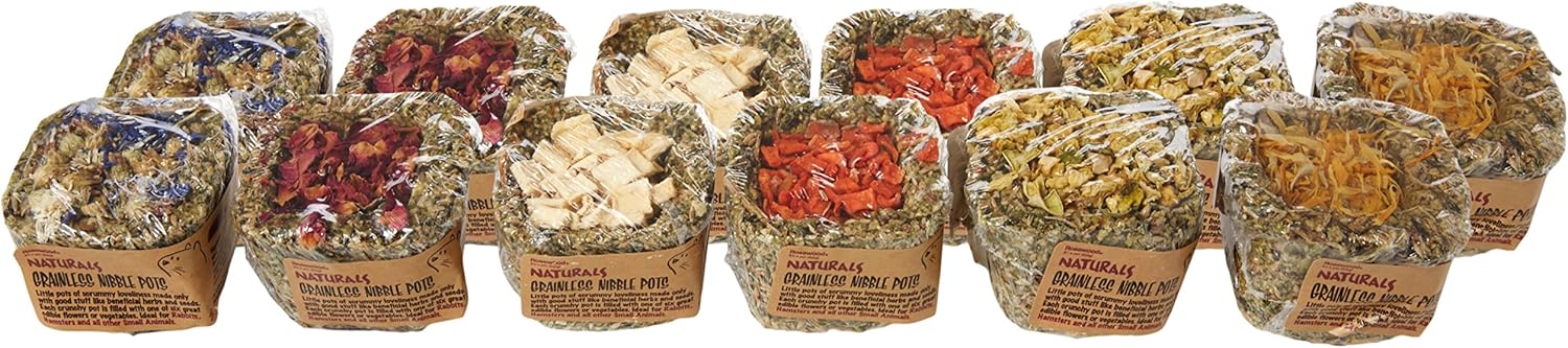 Rosewood Grainless Nibble Pots Grain-Free Small Animal Treats, Case of 12