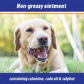 Load image into Gallery viewer, Exmarid Ointment
