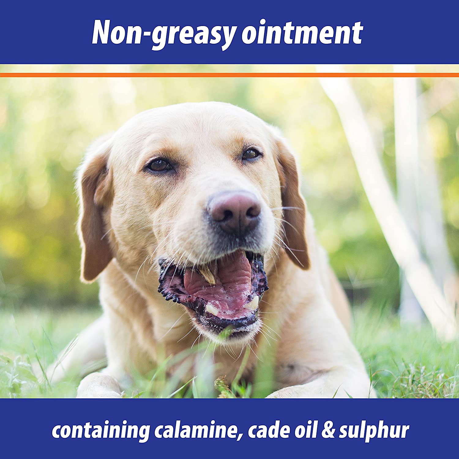Exmarid Ointment