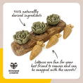Load image into Gallery viewer, Rabbit Veggie Burst Salad Patch Rosewood
