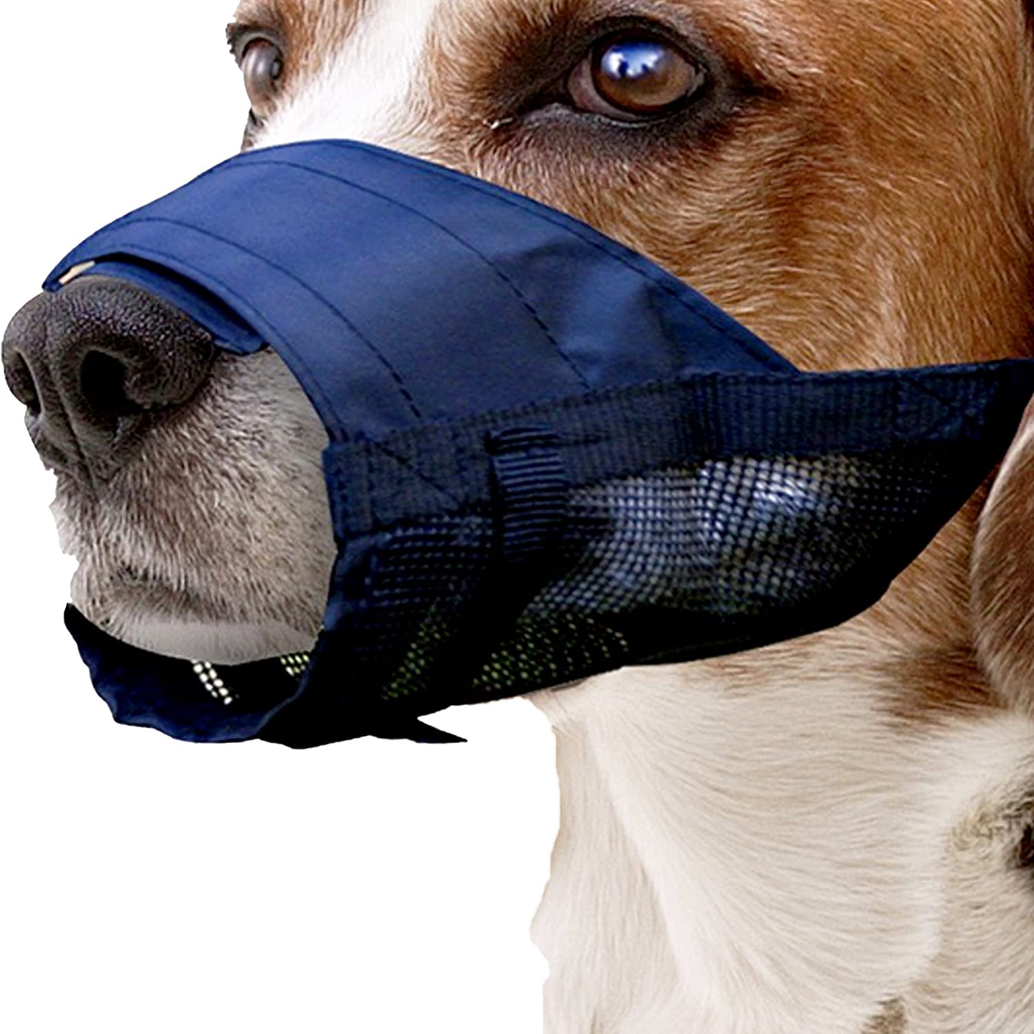 Pawise Nylon Muzzle