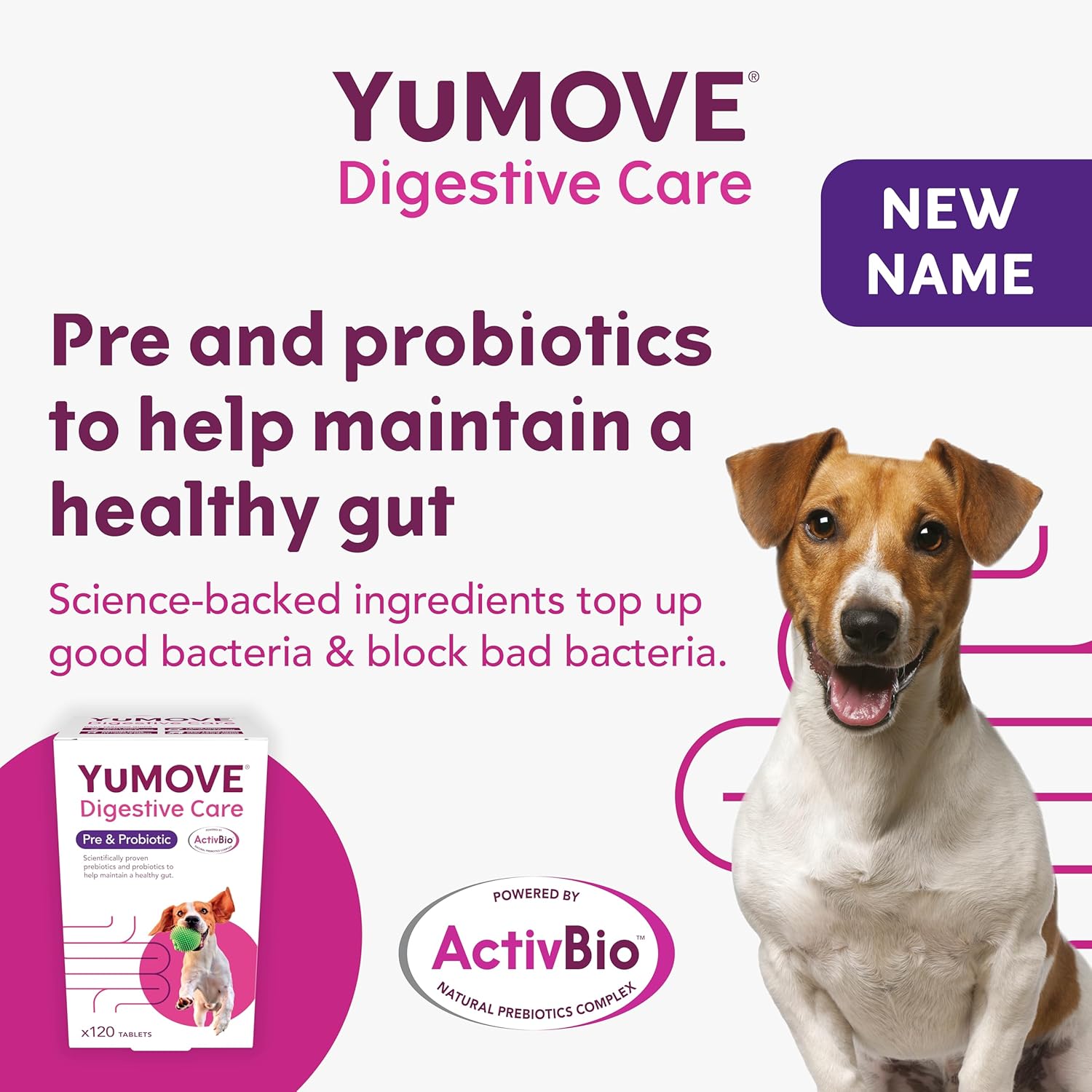 YuMOVE Digestive Care Dog Supplements Probiotics & Gut Health Support 300 Pack