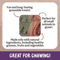 Load image into Gallery viewer, Rosewood Veggie Burst Santa & Tree Duo Dog Treats Chews for Healthy Snacks Set of 4
