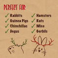 Load image into Gallery viewer, Rosewood Christmas Carrots 'n' Sprinkle Mix 100g Festive Holiday Treats for Pets
