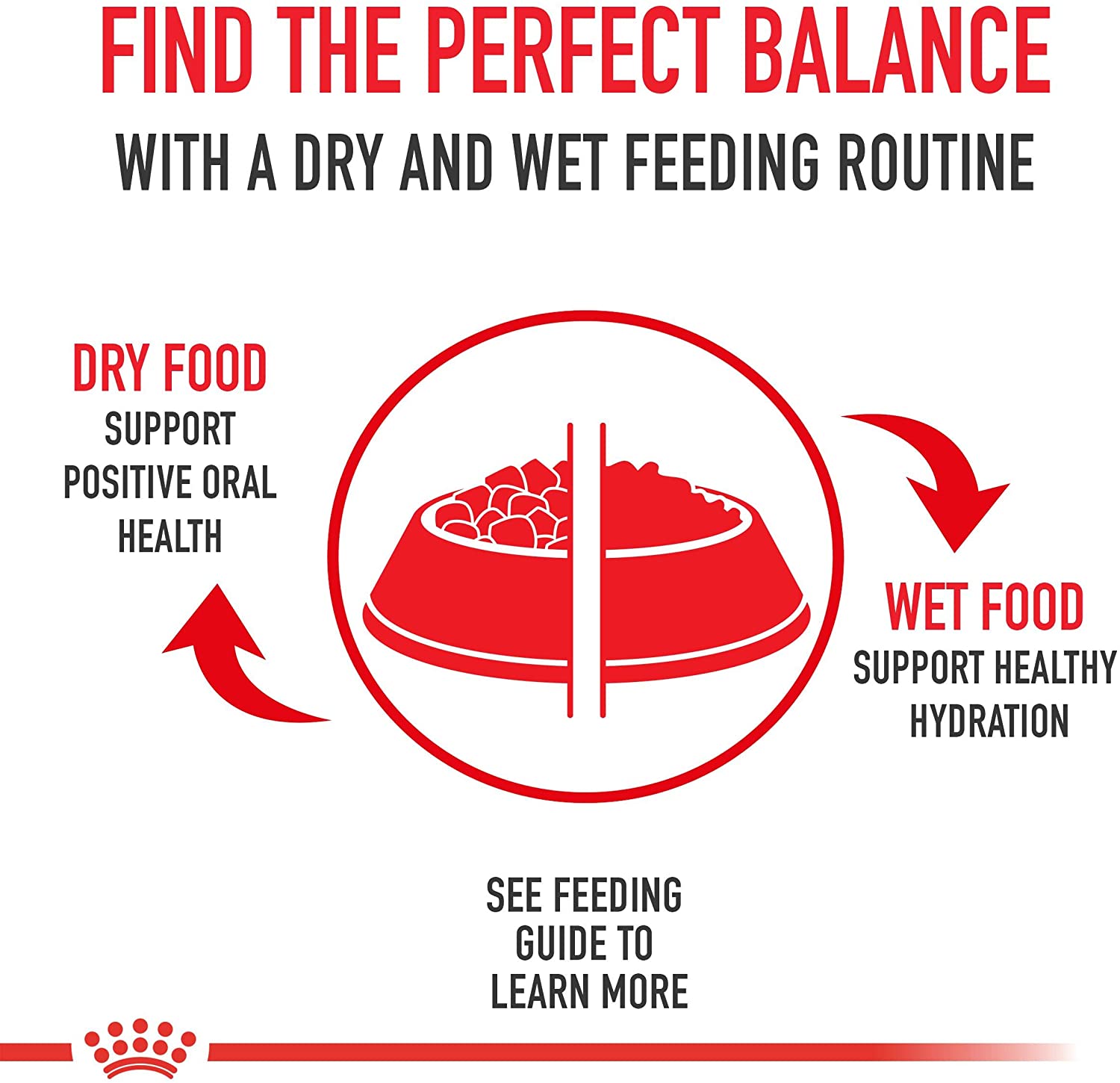 Royal Canin Yorkshire Terrier Wet Adult Dog Food