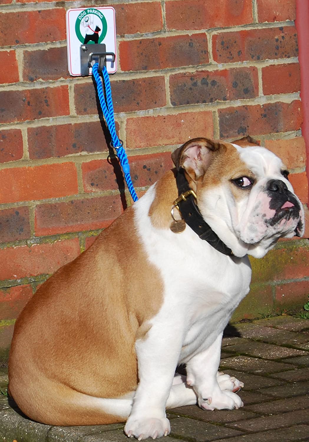 MDC Dog Parking Hook
