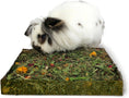 Load image into Gallery viewer, Rosewood Nibble n Dig Meadow Foraging Toy & Treat for Small Animals, Case of 4
