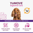 Load image into Gallery viewer, YuMOVE Digestive Care Dog Supplements Probiotics & Gut Health Support 300 Pack
