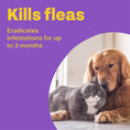 Load image into Gallery viewer, Bob Martin Flea Bomb Powerful Home Flea & Insect Room Treatment

