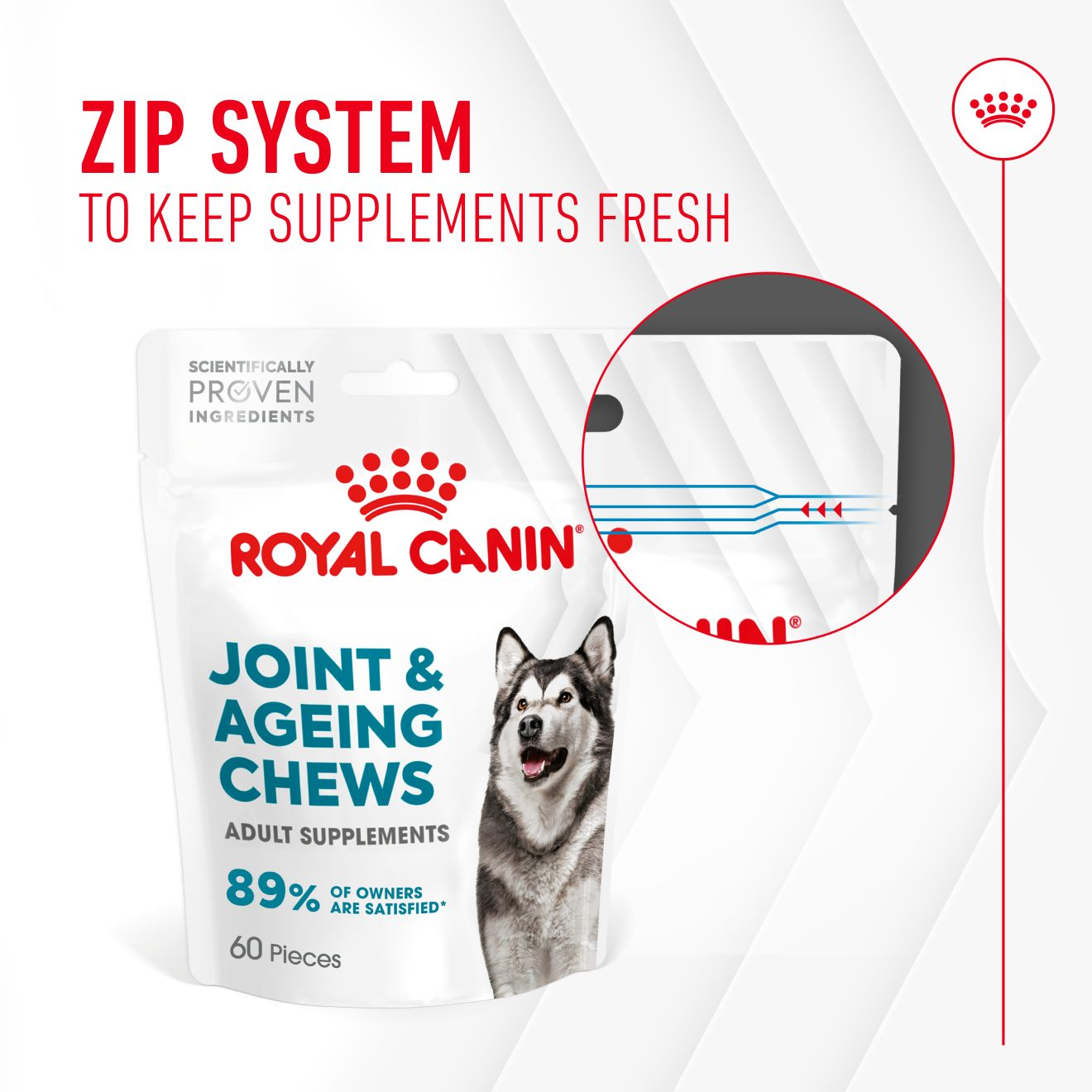Royal Canin Dog Supplement for Joint & Ageing Soft Chews  240g