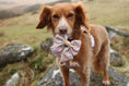 Load image into Gallery viewer, Pastel Petals - Supaw Strong™ Dog Harness (XS-XL): Medium

