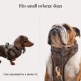 Load image into Gallery viewer, Trail & Glow Tweed Dog Harness - Colour Drops - Heritage Plaid: XL
