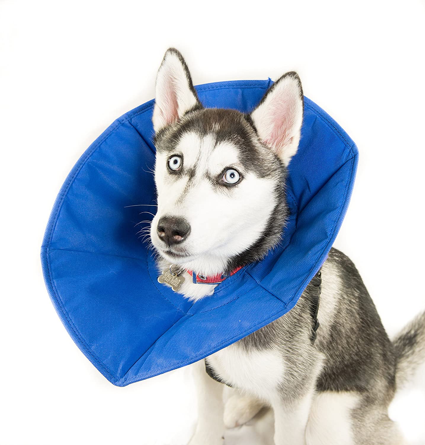 MDC SoftE Smart Collar
