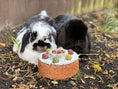 Load image into Gallery viewer, Rosewood Natural Celebration Cake Small Animal Treats, Case of 6
