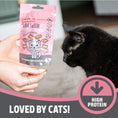 Load image into Gallery viewer, Rosewood Crunchy Salmon Cushions Salmon Cat Treats, Crunchy Bite-Size Snacks, 60g
