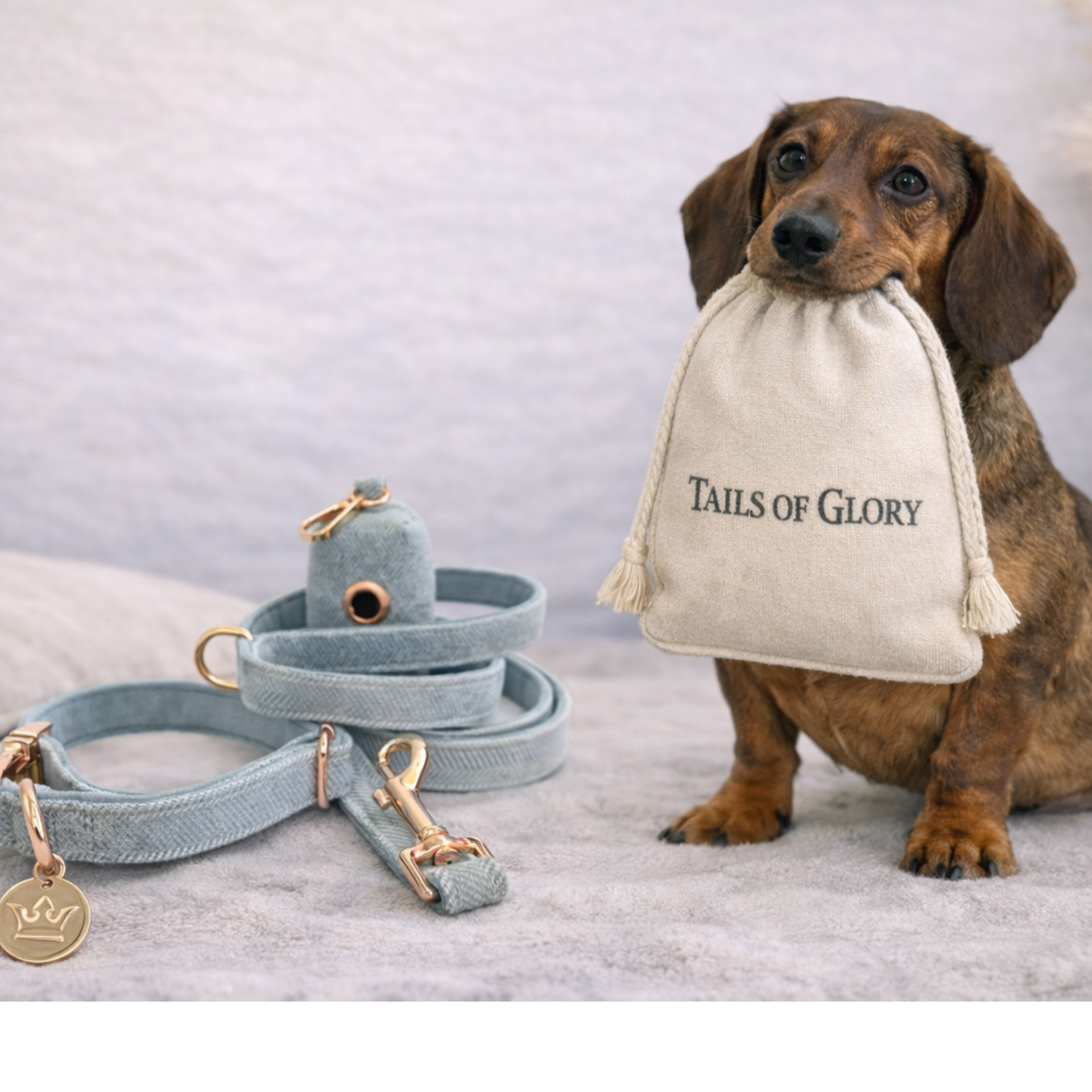 Dog Collar, Pouch and Lead Set - Blue Tweed & Velvet: No engraving / Medium