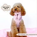 Load image into Gallery viewer, Luxe Adjustable Neck Harness - Baby Pink Heart: L
