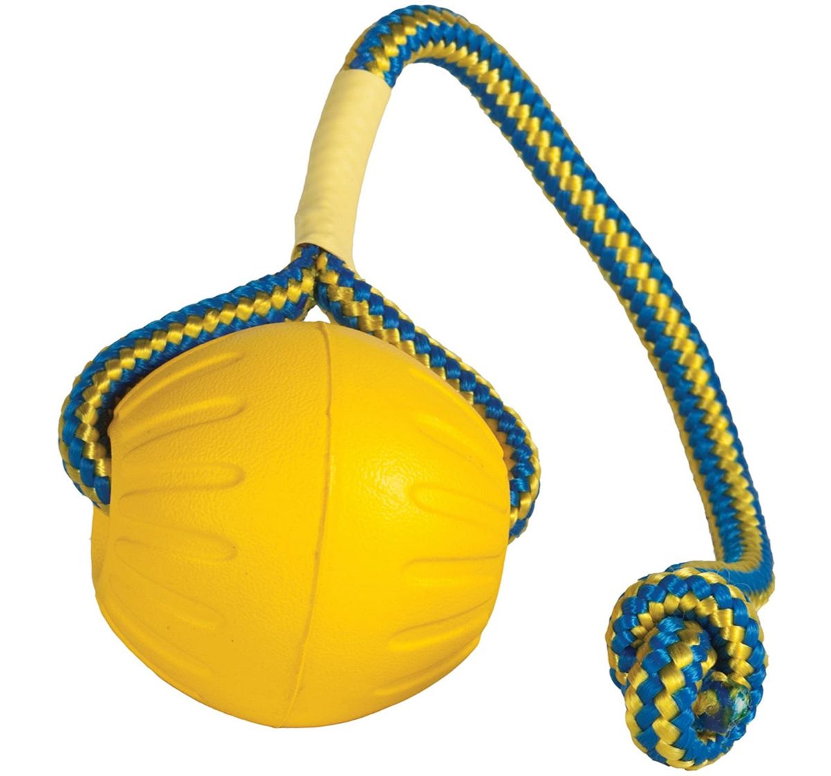 Starmark Swing n' Fling Fetch Ball For Dogs