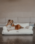 Load image into Gallery viewer, The Teddington Sofa
