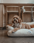 Load image into Gallery viewer, The Teddington Sofa

