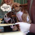 Load image into Gallery viewer, NAKD Adjustable Neck Harness - Candyfloss: L
