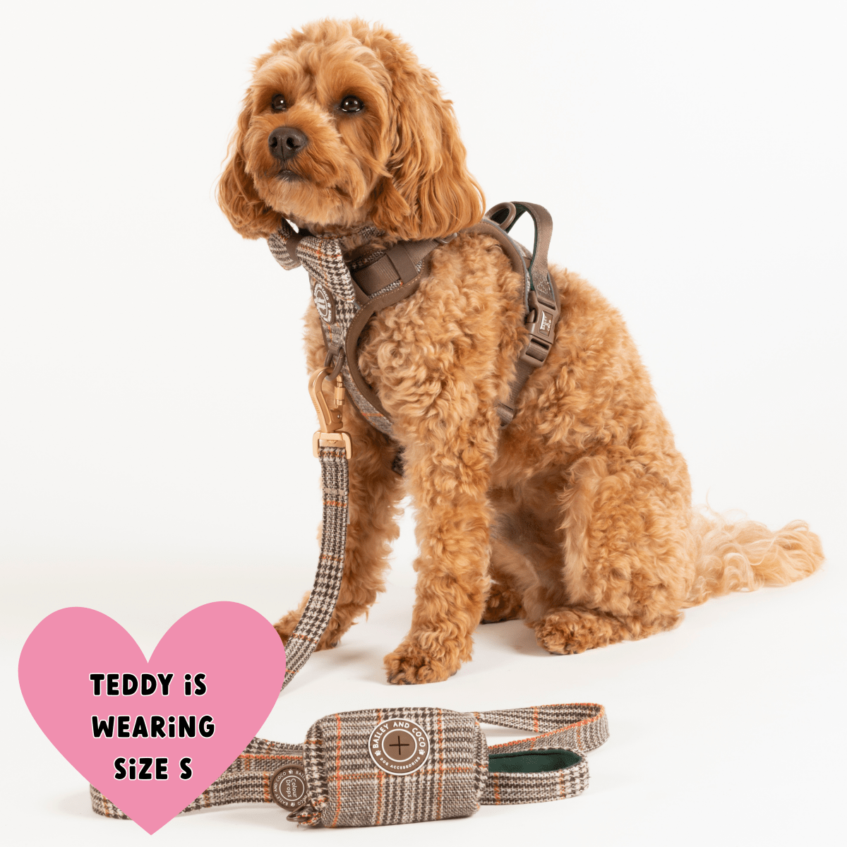 Trail & Glow Tweed Dog Harness & Lead Set - Colour Drops - Heritage Plaid: M