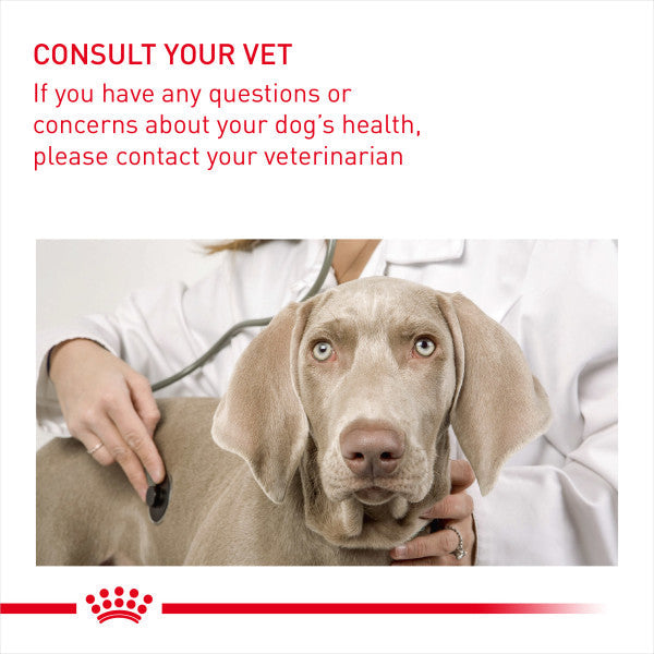 Royal Canin Medium Light Weight Care Adult Dry Dog Food
