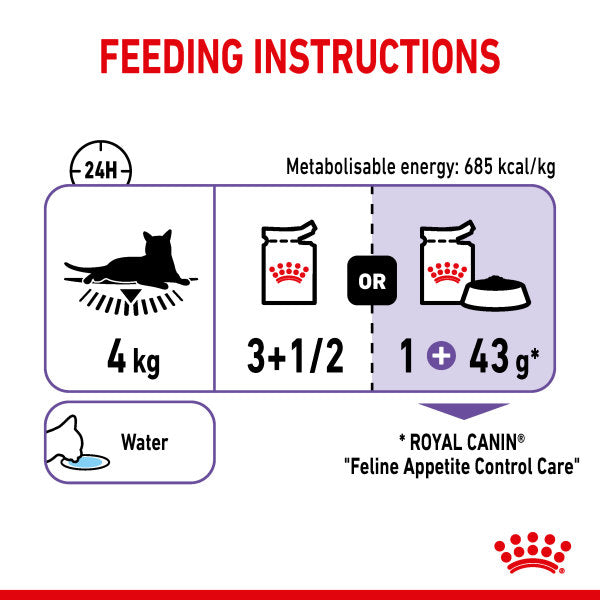 Royal Canin Appetite Control Care in Jelly Adult Wet Cat Food