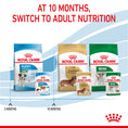Load image into Gallery viewer, Royal Canin Mini Ageing 12+ Senior in Gravy Wet Dog Food
