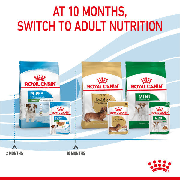 Royal Canin Mini Ageing 12+ Senior in Gravy Wet Dog Food