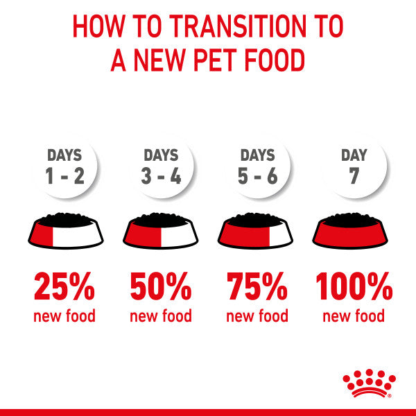 Royal Canin Medium Puppy in Gravy Wet Food