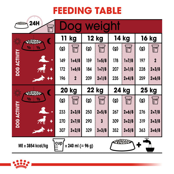 Royal Canin Medium Adult 7+ Dry Dog Food