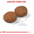 Load image into Gallery viewer, Royal Canin Medium Adult 7+ Dry Dog Food
