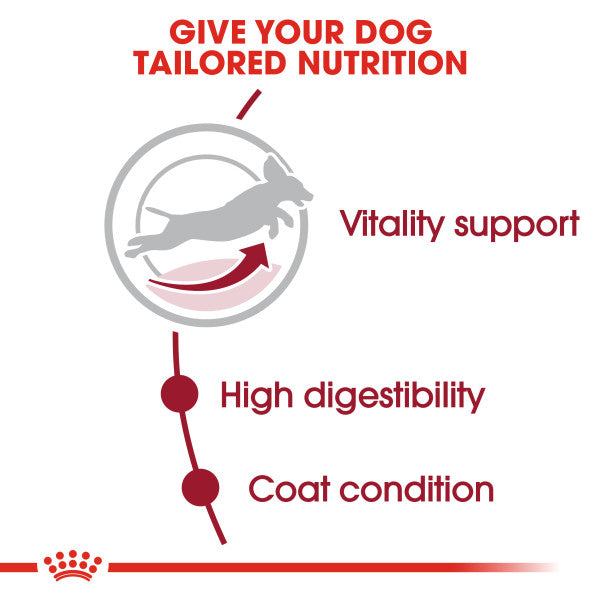 Royal Canin Medium Adult 7+ Dry Dog Food