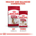 Load image into Gallery viewer, Royal Canin Medium Adult 7+ Dry Dog Food
