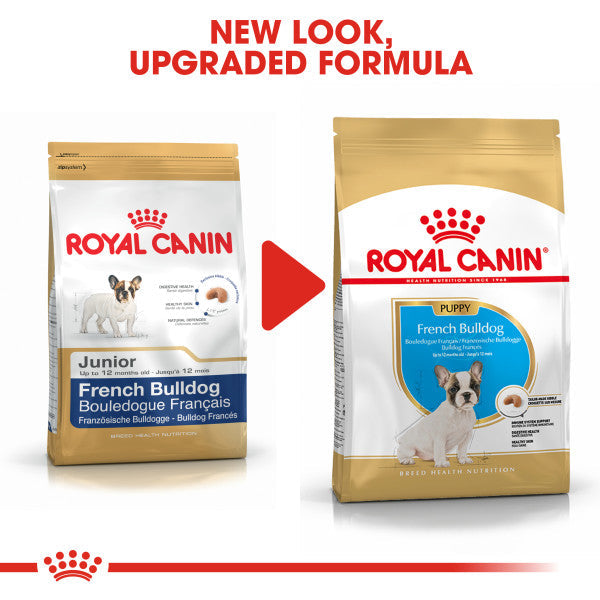 Royal Canin French Bulldog Puppy Dry Food