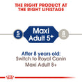 Load image into Gallery viewer, Royal Canin Maxi Adult 5+ Dry Dog Food
