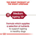 Load image into Gallery viewer, Royal Canin Medium Ageing 10+ Senior in Gravy Wet Dog Food
