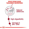 Load image into Gallery viewer, Royal Canin Medium Adult Dry Dog Food
