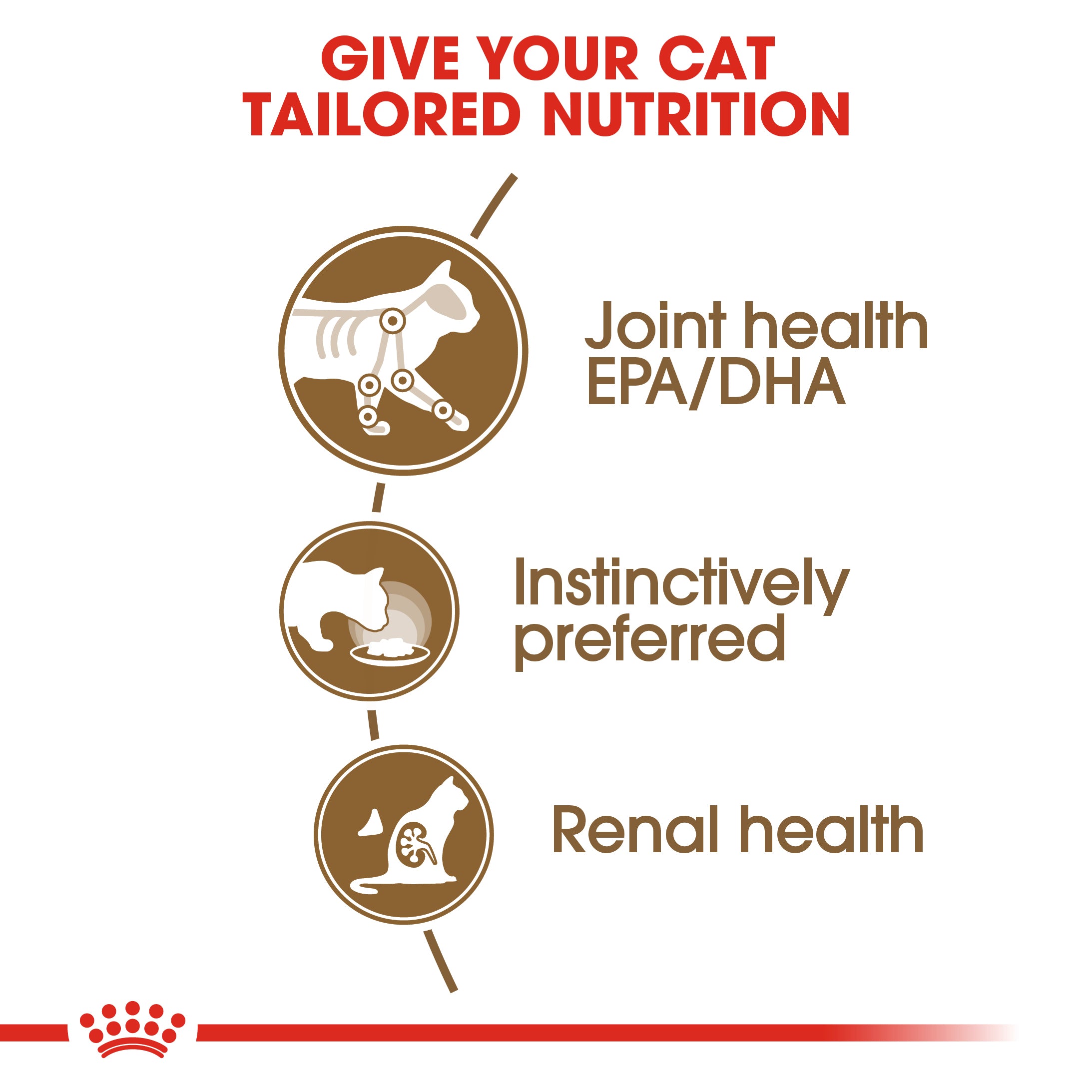 Royal Canin 11+ Senior Wet Cat Food
