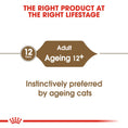 Load image into Gallery viewer, Royal Canin 11+ Senior Wet Cat Food
