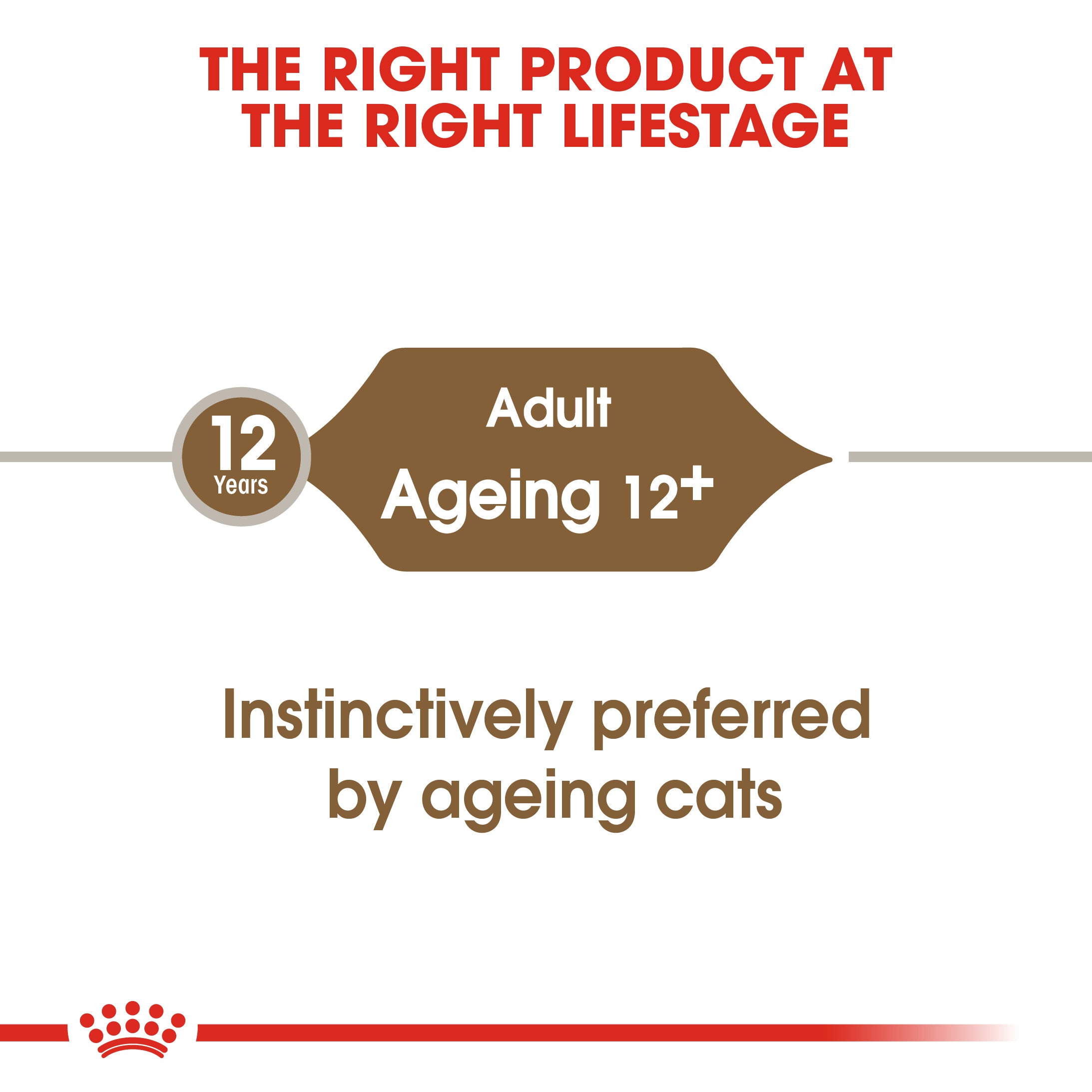 Royal Canin 11+ Senior Wet Cat Food
